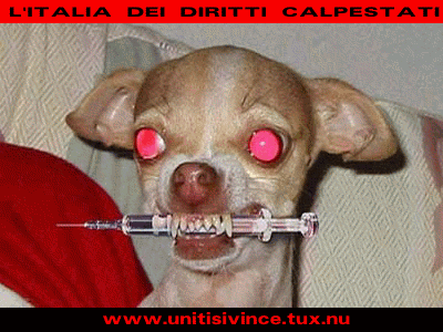 Ti cerco bastardo